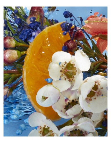 CACHAREL LOU LOU EDP SPRAY 50 ML