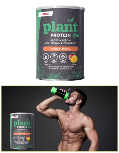 ICONFIT Plant Protein (480g) Mango Stevia